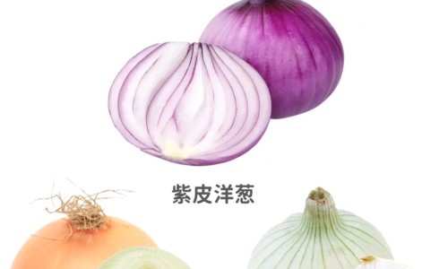 权威巨麻珠芽平台,分享专业麻籽枕头的功效知识_巨麻籽的功效网
