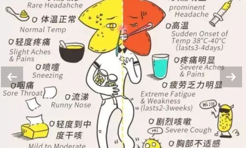巨胜子是胡麻仁吗-权威巨麻珠芽平台,分享专业麻籽枕头的功效知识_巨麻籽的功效网